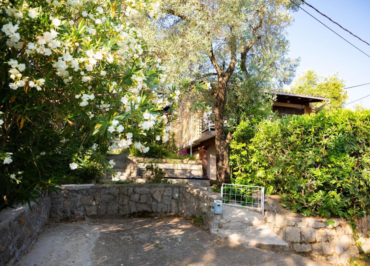 Hidden Gem Of Krasici Villa Radovici Eksteriør bilde